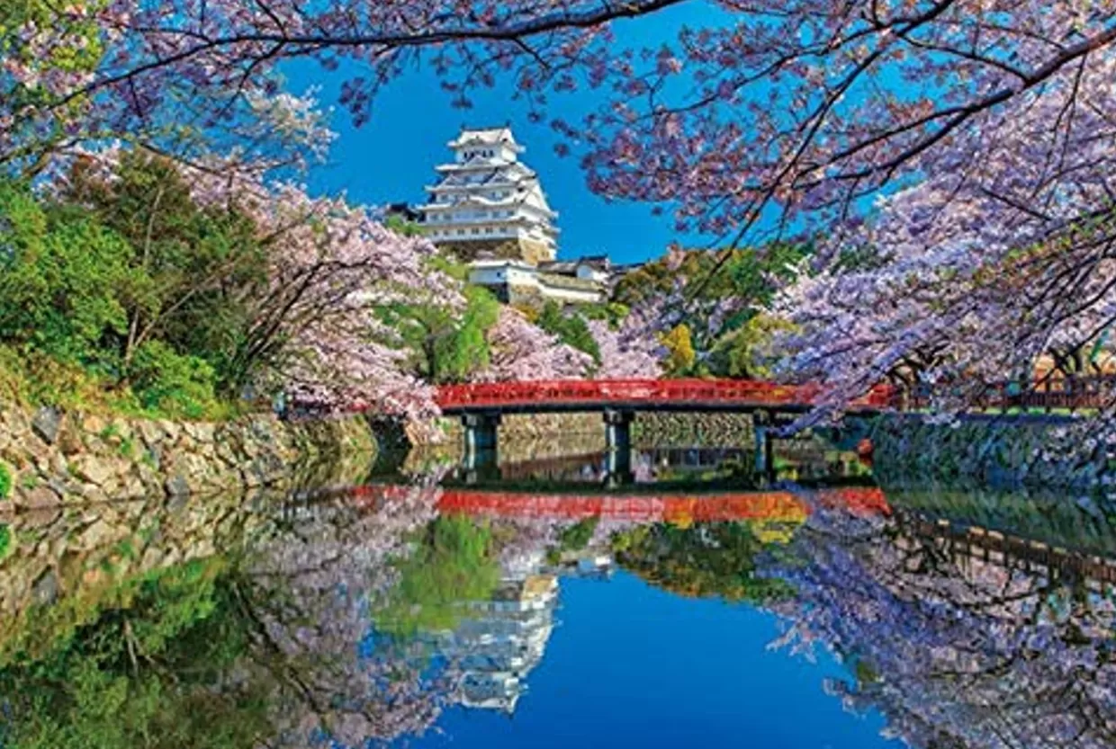 New Appleone Jigsaw Puzzle 1000-833 Himeji Castle Cherry Blossom Hyogo Japan (1000 Pieces)