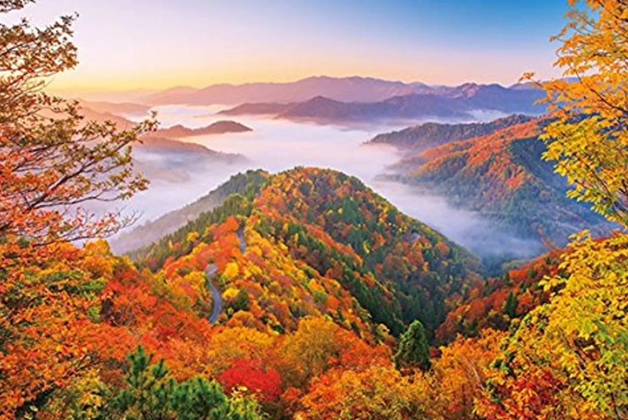 New Appleone Jigsaw Puzzle 1000-826 Onyu Valley Sea Of Clouds Shiga Japan (1000 Pieces)