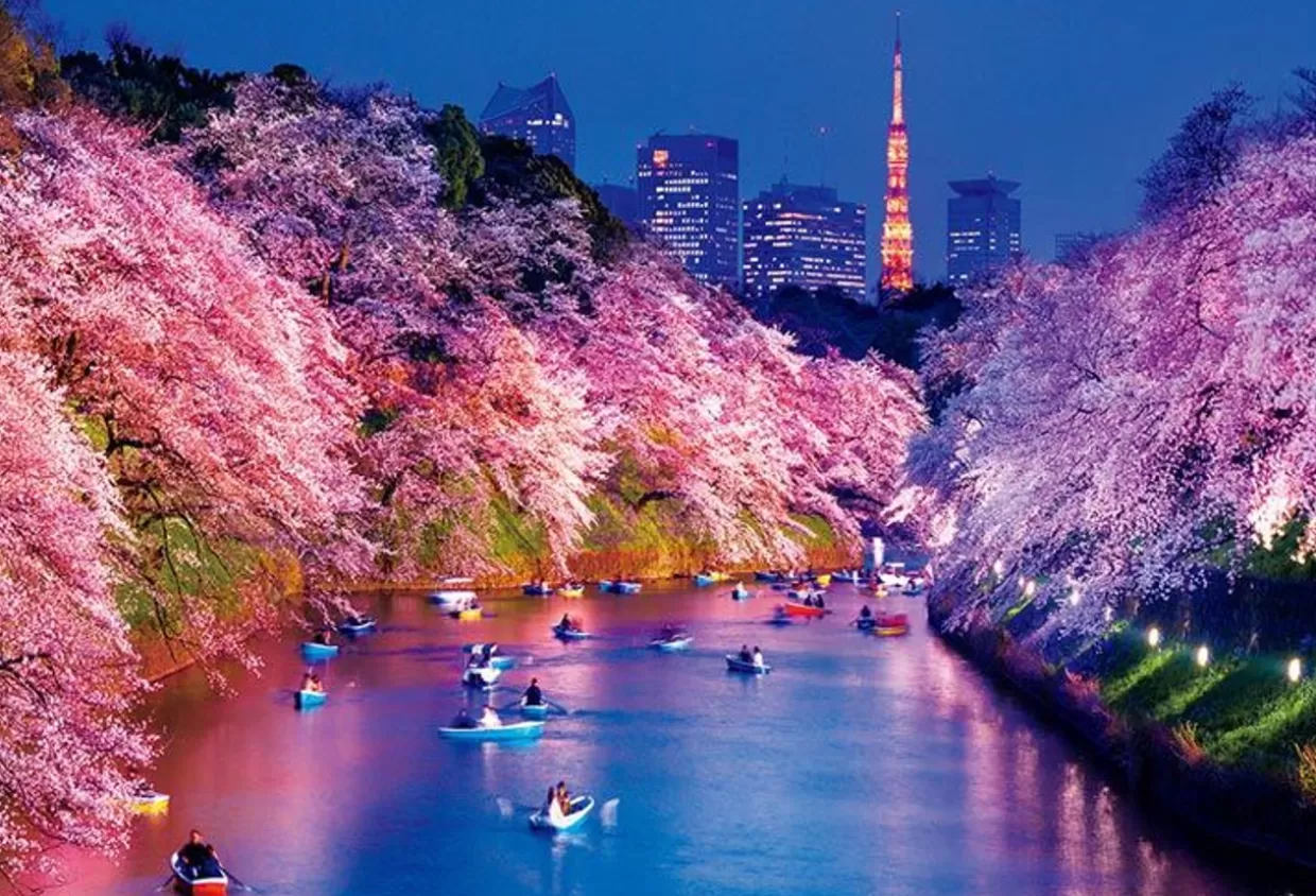 Best Sale Beverly 51-275 Jigsaw Puzzle Cherry Blossoms At Night In Chidorigafuchi (Tokyo) (1000 Pieces)
