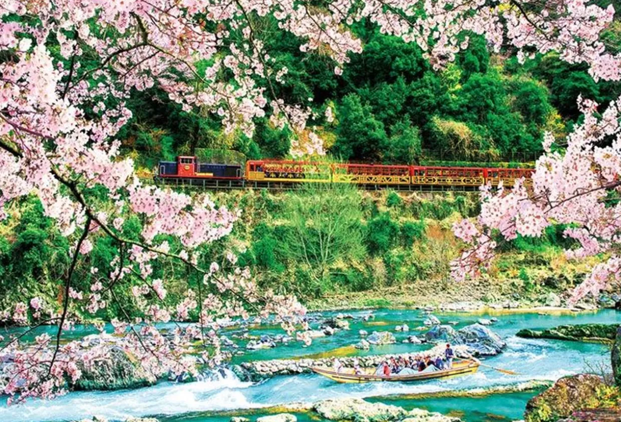 Hot Beverly 51-292 Jigsaw Puzzle Cherry Blossoms In Hozukyo Kyoto Japan(1000 Pieces)