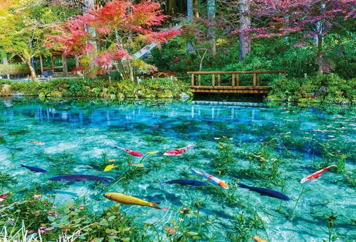 Hot Beverly 51-293 Jigsaw Puzzle Colorful Monet's Pond (1000 Pieces)