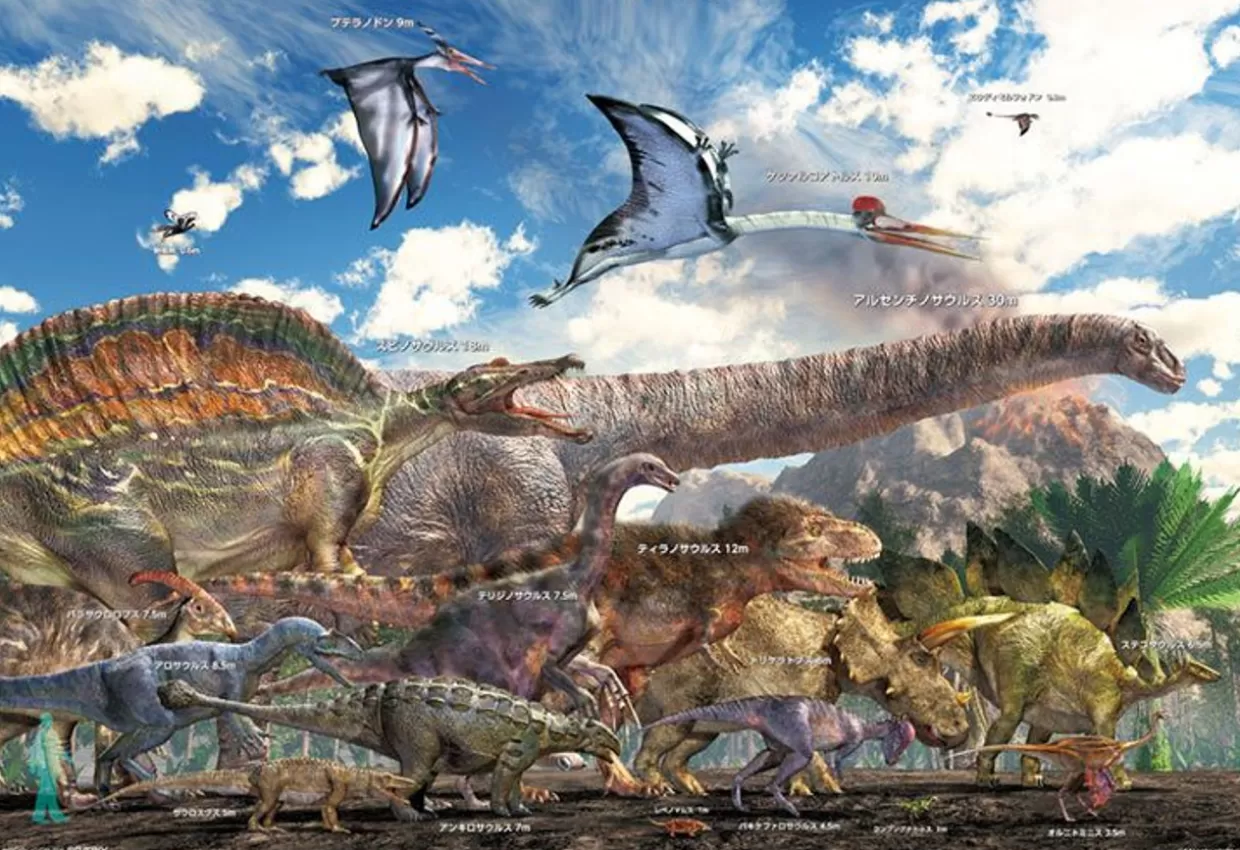 Discount Beverly 80-031 Jigsaw Puzzle Comparing The Size Of Dinosaurs (80 L-Pieces)