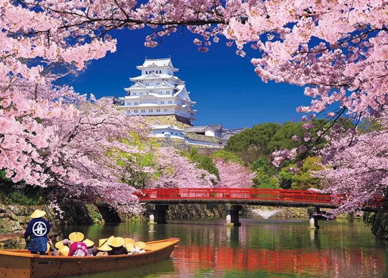 Best Sale Beverly 66-157 Jigsaw Puzzle Himeji Castle With Cherry Blossoms (Hyogo,Japan) (600 Pieces)