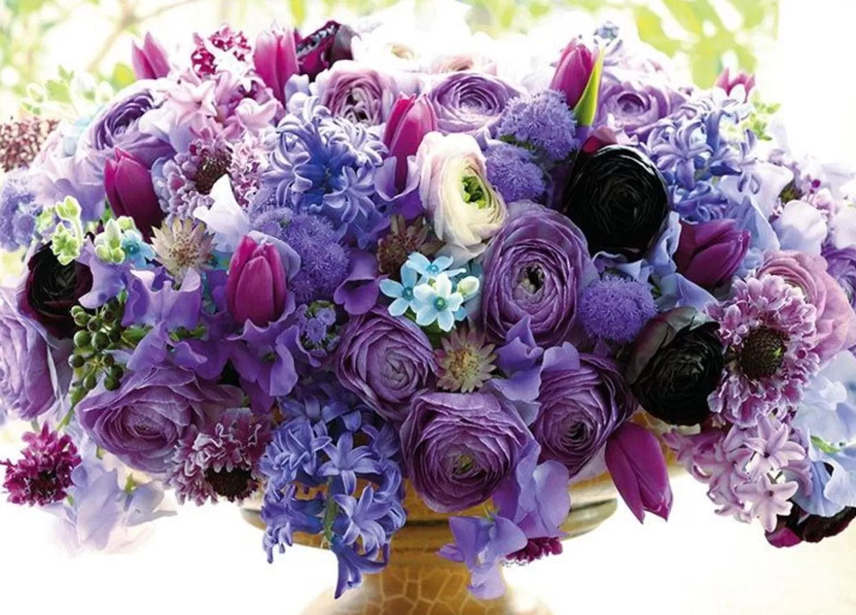 Clearance Beverly 66-207 Jigsaw Puzzle Life Filled With Purple Minuet Flowers (600 Pieces)