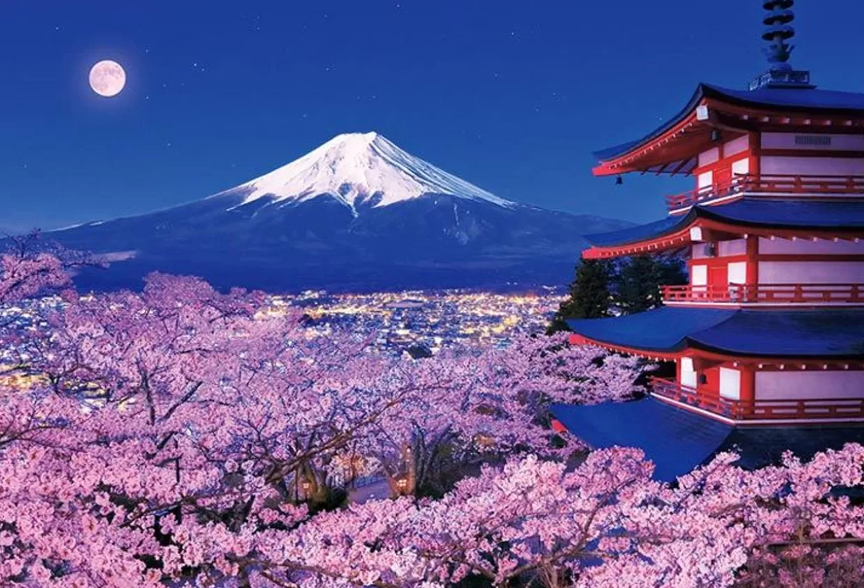 Store Beverly 51-276 Jigsaw Puzzle Mt.Fuji And Asama Shrine With Cherry Blossoms (1000 Pieces)