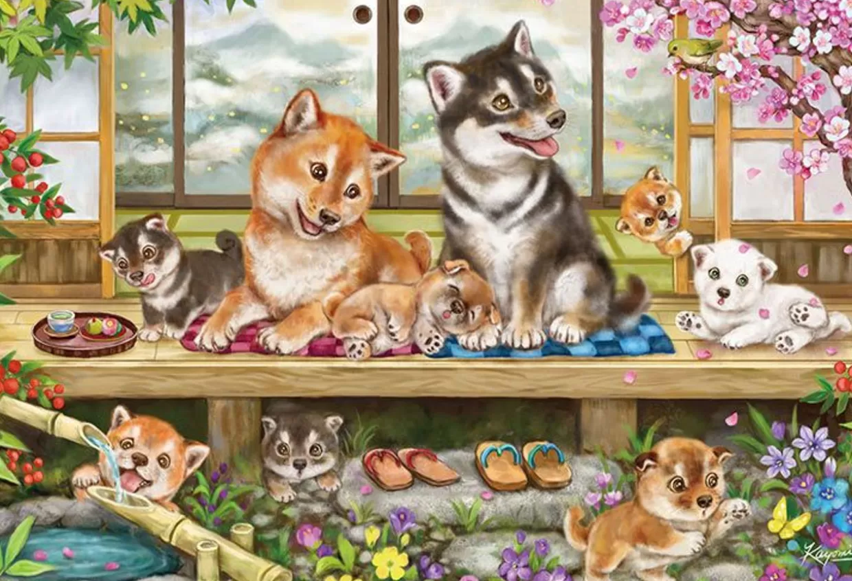 Cheap Beverly 31-525 Jigsaw Puzzle Shiba Inu Family On The Poarch (1000 Pieces)