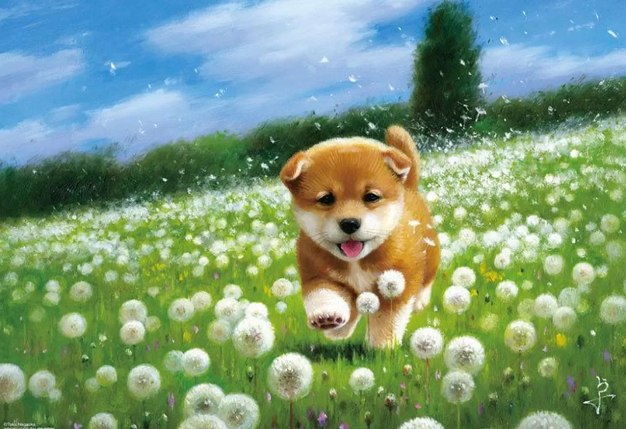 Cheap Beverly 83-108 Jigsaw Puzzle Shiba Inu In A Dandelion Field (300 Pieces)
