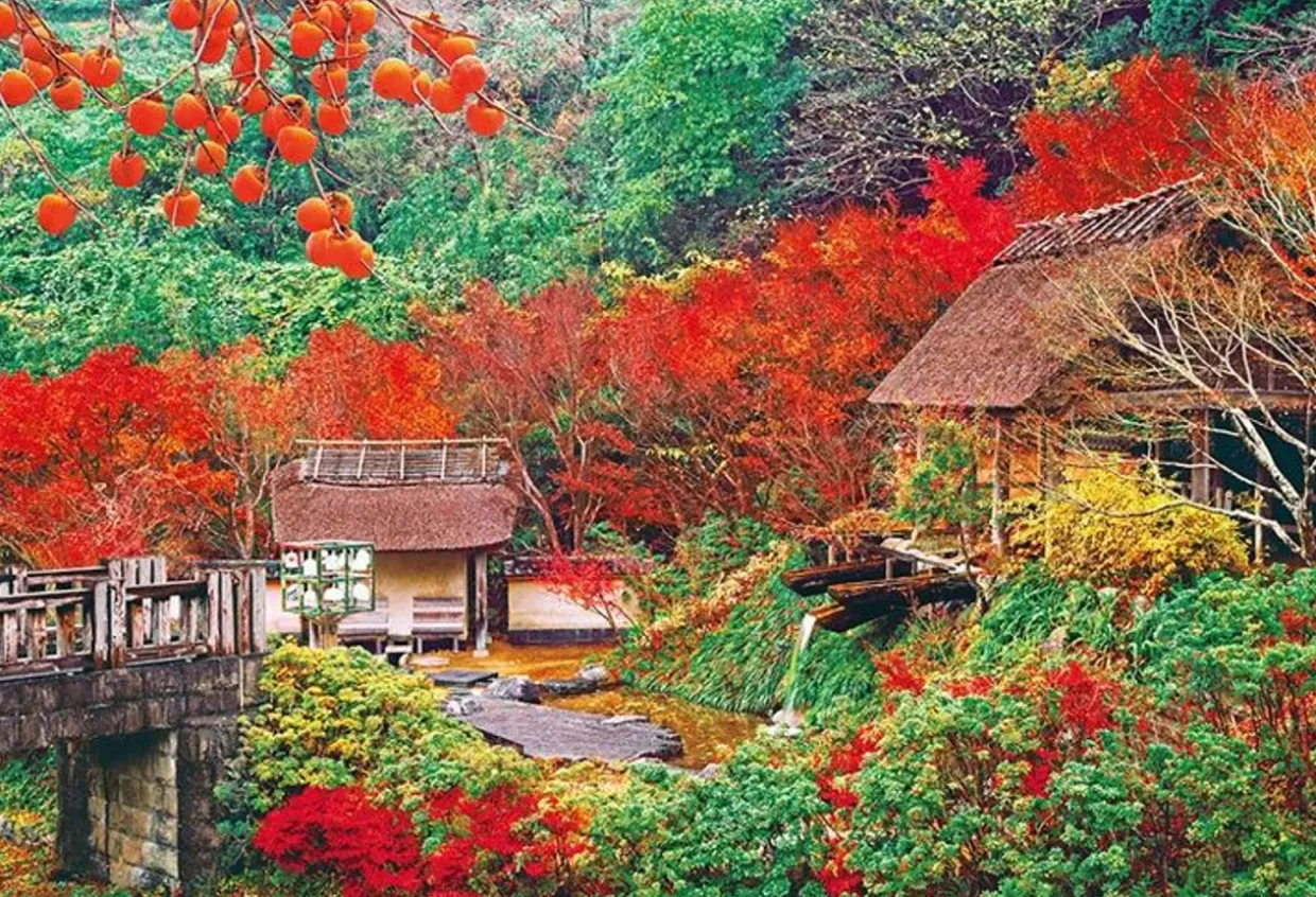 Cheap Beverly Jigsaw Puzzle 51-265 Autumn Leaves Imari In Saga Japan (1000 Pieces)