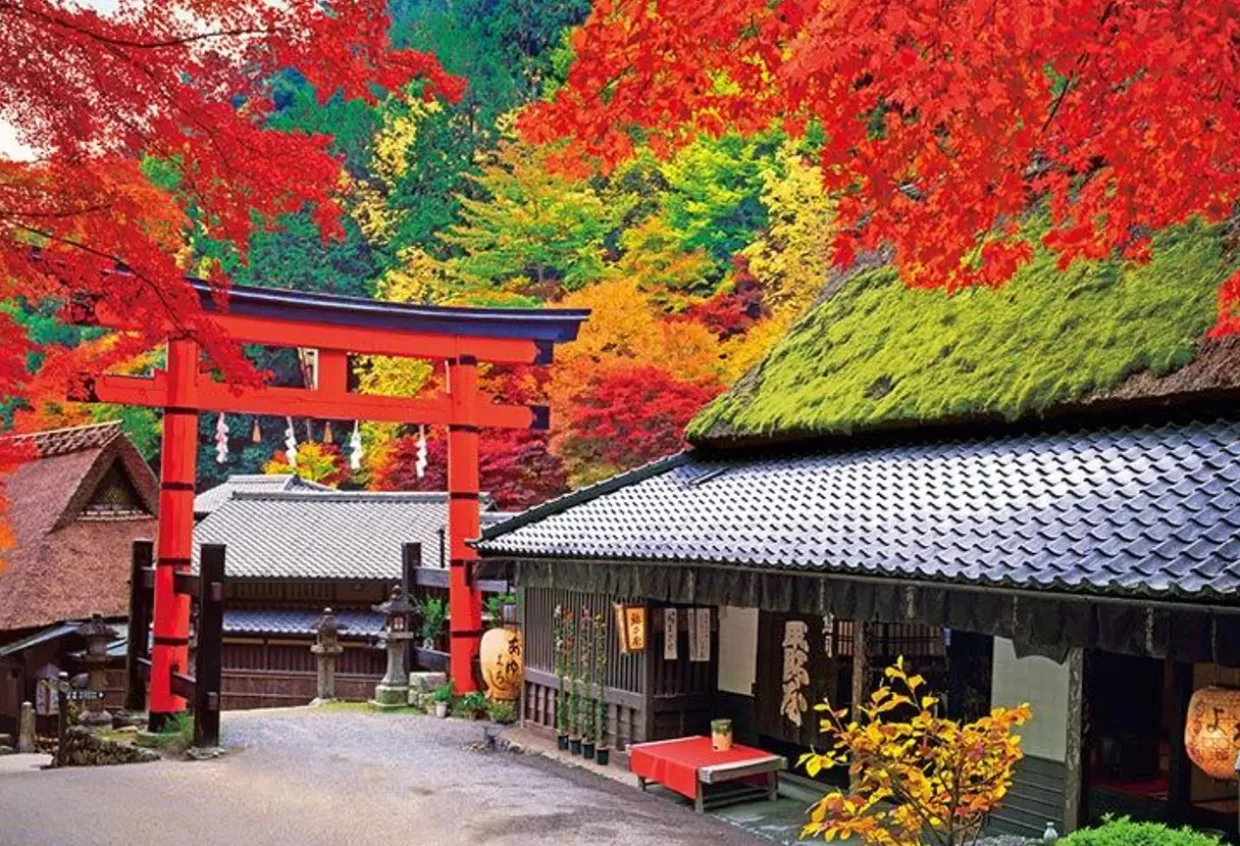 Flash Sale Beverly Jigsaw Puzzle 51-264 Autumn Leaves Torii Shrine Gateway In Kyoto Japan (1000 Pieces)