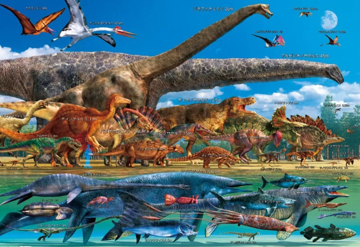 New Beverly Jigsaw Puzzle L74-167 Dinosaur Size Chart (150 L-Pieces)