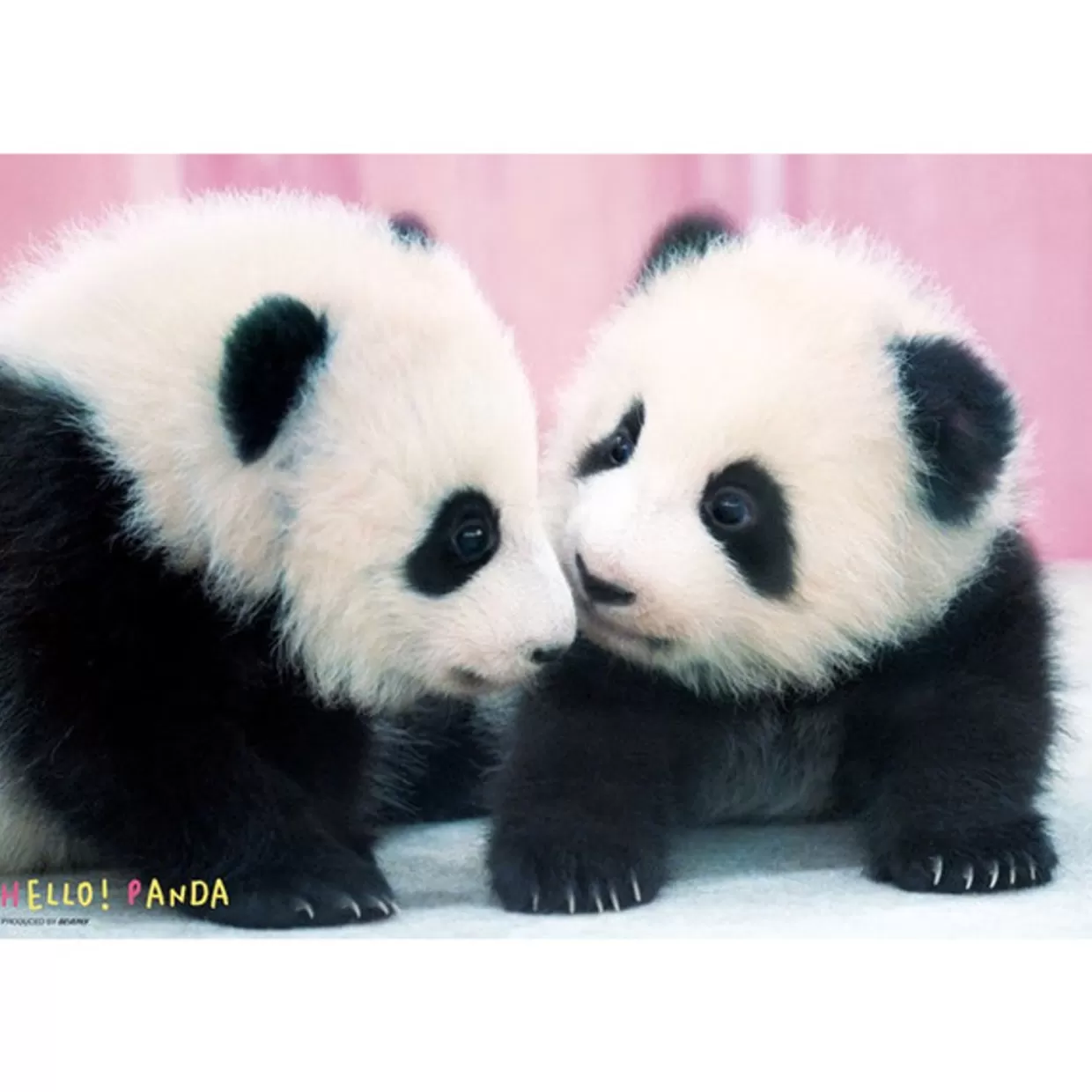 Flash Sale Beverly Jigsaw Puzzle L74-164 Pretty Pet Series Hello! Panda (150 L-Pieces)