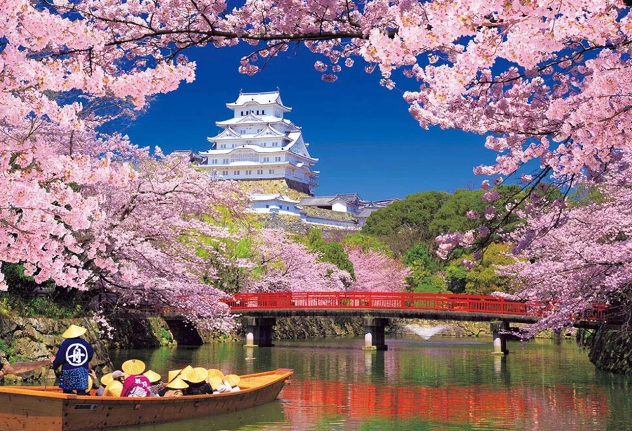 Fashion Beverly Jigsaw Puzzle M81-587 Cherry Blossom And The Himeji Castle (1000 S-Pieces)