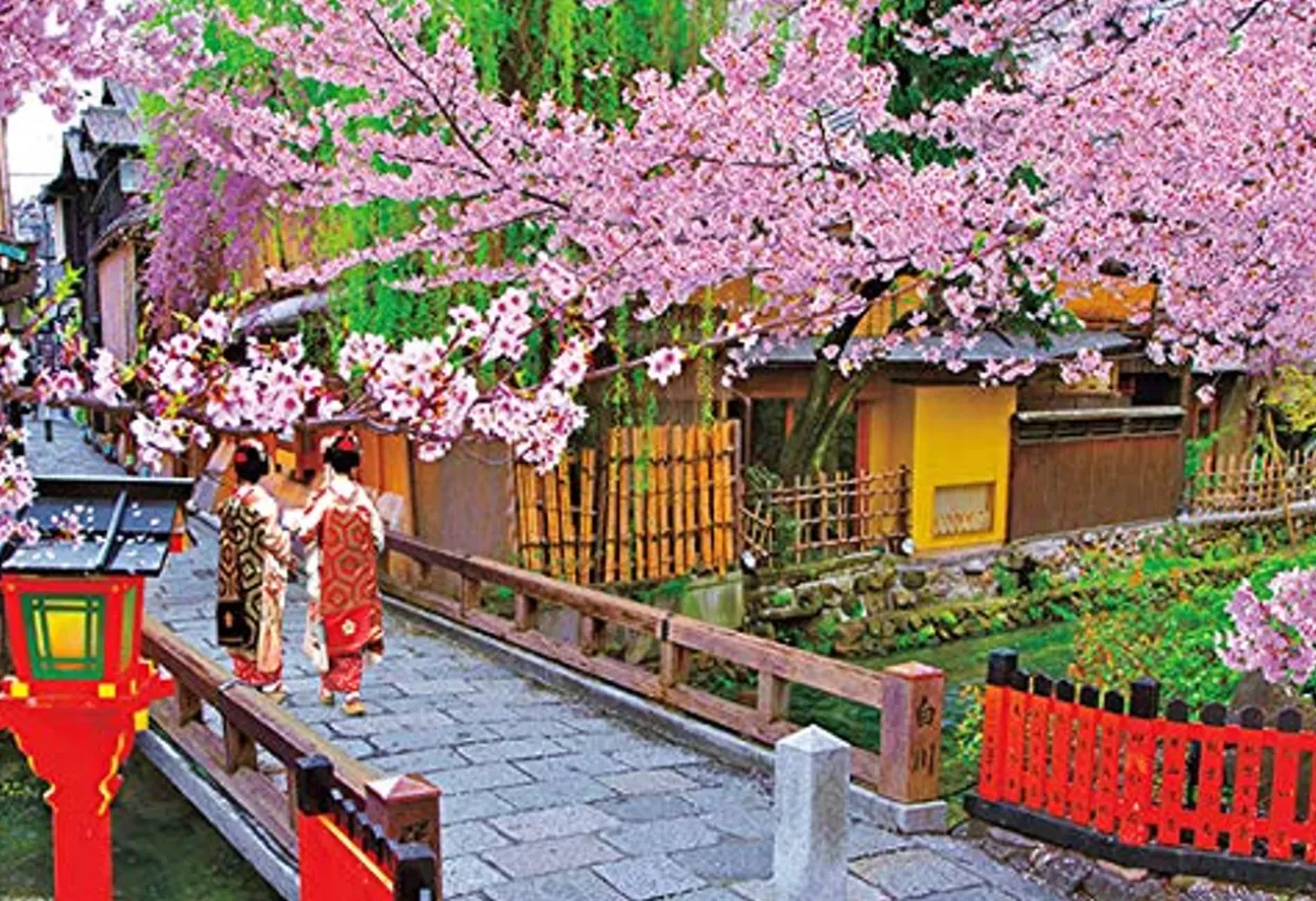 Online Beverly Jigsaw Puzzle M81-565 Sakura (Cherry Blossom) Blooming Gion Japan (1000 S-Pieces)