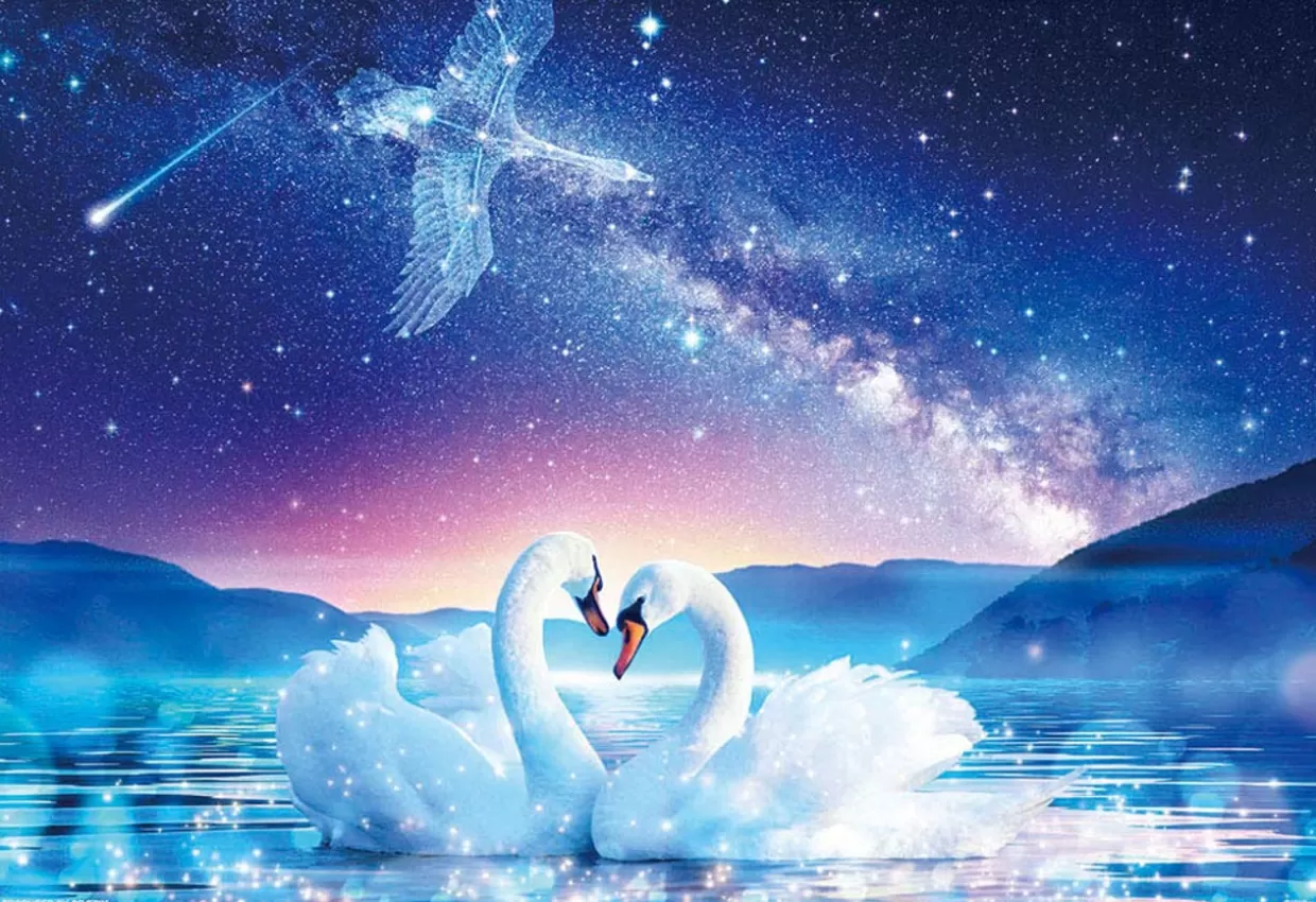 Best Beverly Jigsaw Puzzle M81-584 Wilfar Promise Under The Stars (1000 S-Pieces)