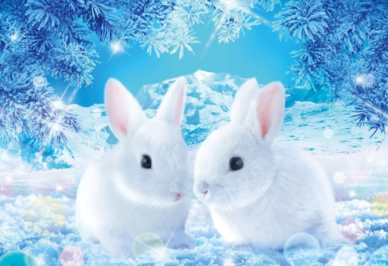 New Beverly Jigsaw Puzzle M81-538 Wilfar Rabbits Waiting For Spring (1000 S-Pieces)