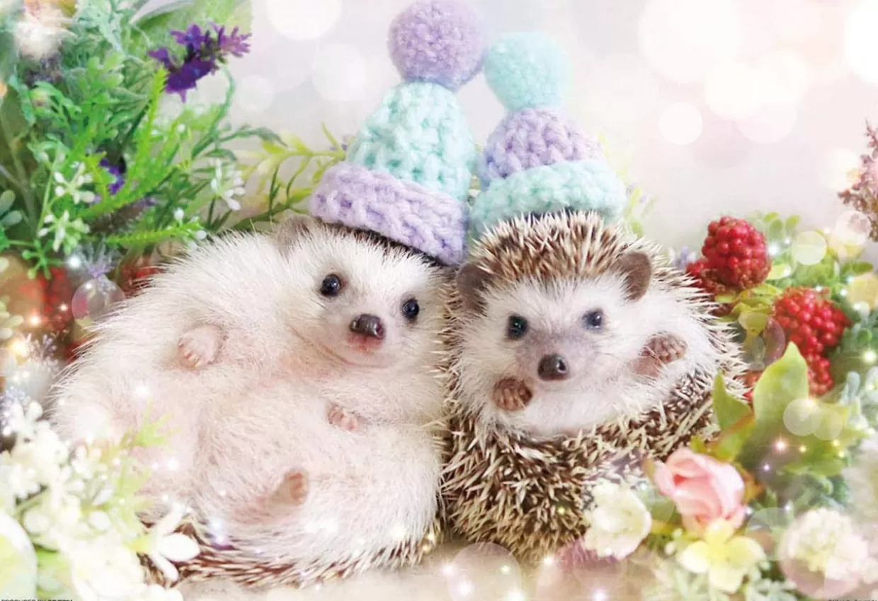 Fashion Beverly Jigsaw Puzzle P33-182 Azuki And Monaka The Hedgehog (300 Pieces)