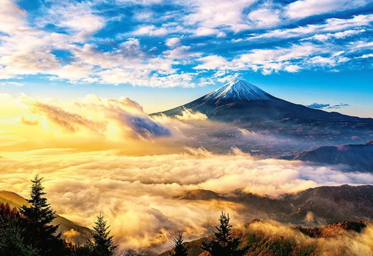 Outlet Beverly M81-611 Jigsaw Puzzle Mt.Fuji In The Morning (1000 S-Pieces)