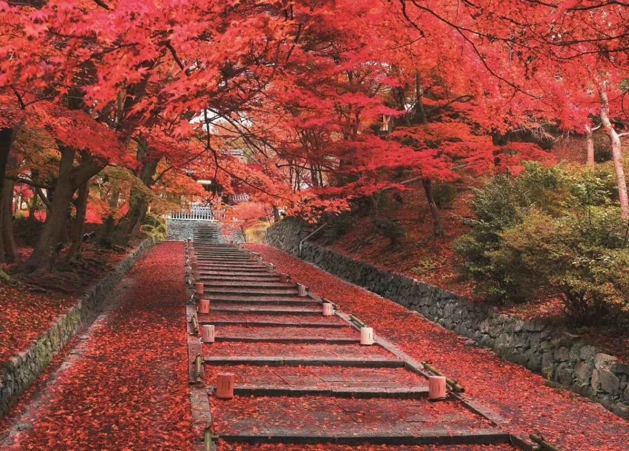 Epoch Jigsaw Puzzle 05-114 Autumn Leaves Bishamondo Temple Kyoto Japan (500 Pieces)
