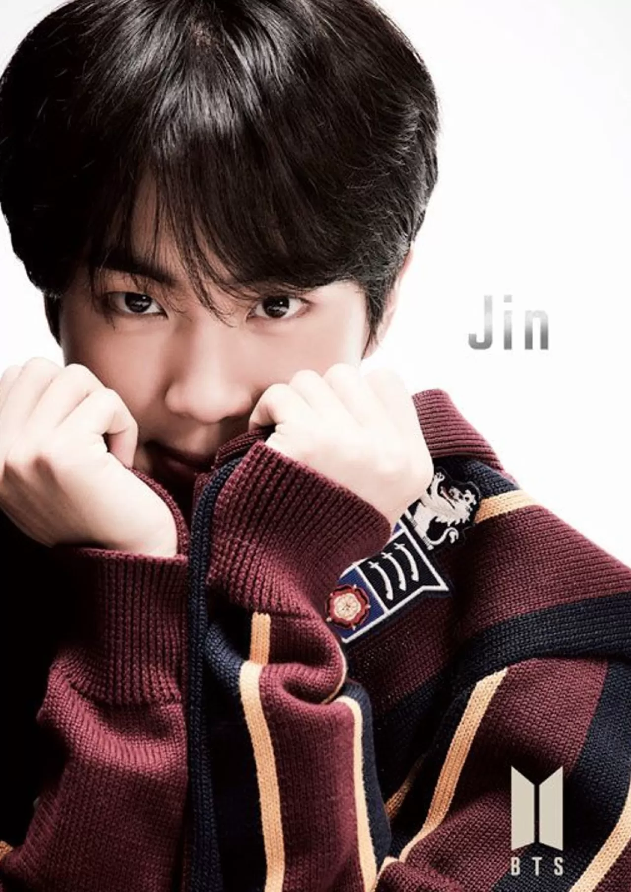 Epoch Jigsaw Puzzle 41-302 Bts (Bangtan Boys) Map Of The Soul: 7 -Jin- (108 Pieces)
