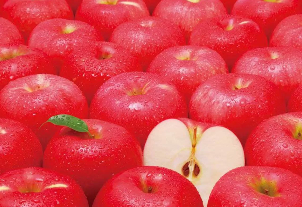 Epoch Jigsaw Puzzle 79-363 Challenge From Mr.Puzzle -Challenge From Apple- (1053 S-Pieces)