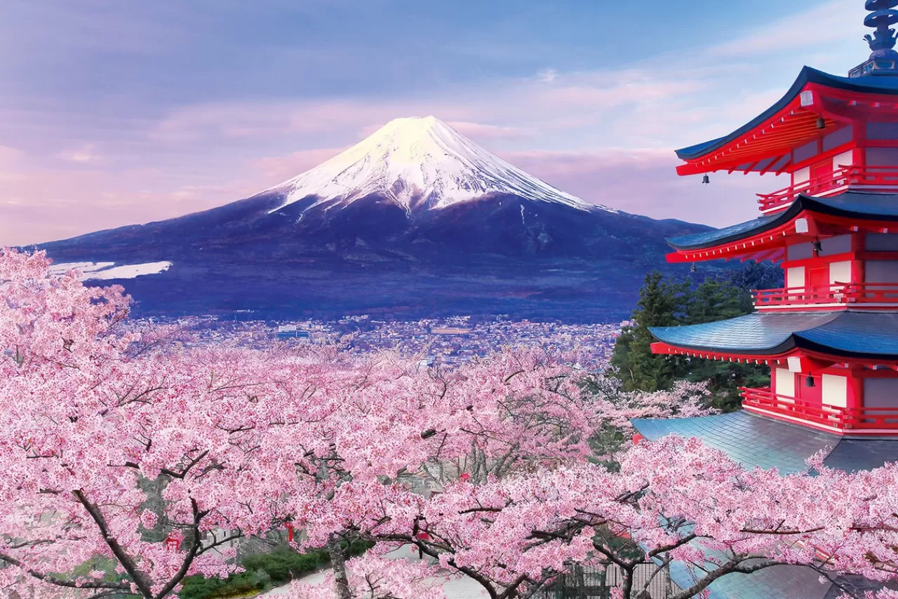 Epoch Jigsaw Puzzle 10-787 Cherry Blossom And Gojunoto In Yamanashi (1000 Pieces)