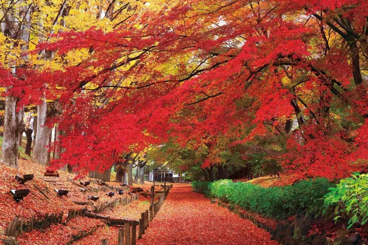 Epoch Jigsaw Puzzle 23-595 Japanese Scenery Ueda Castle Park Nagano (2016 S-Pieces)