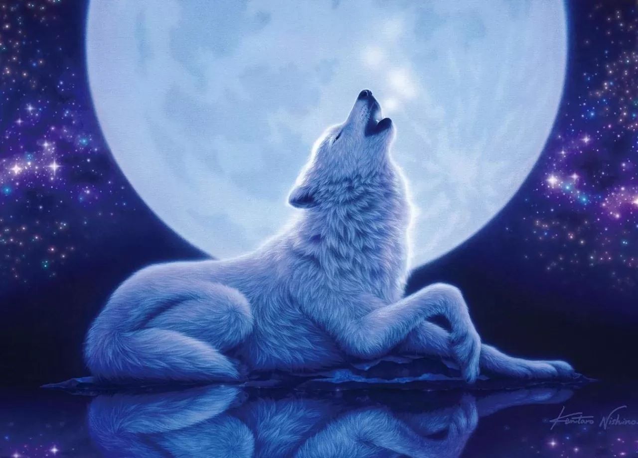 Epoch Jigsaw Puzzle 54-710 Kentaro Nishino Night Of Silence Wolf (2000 S-Pieces)