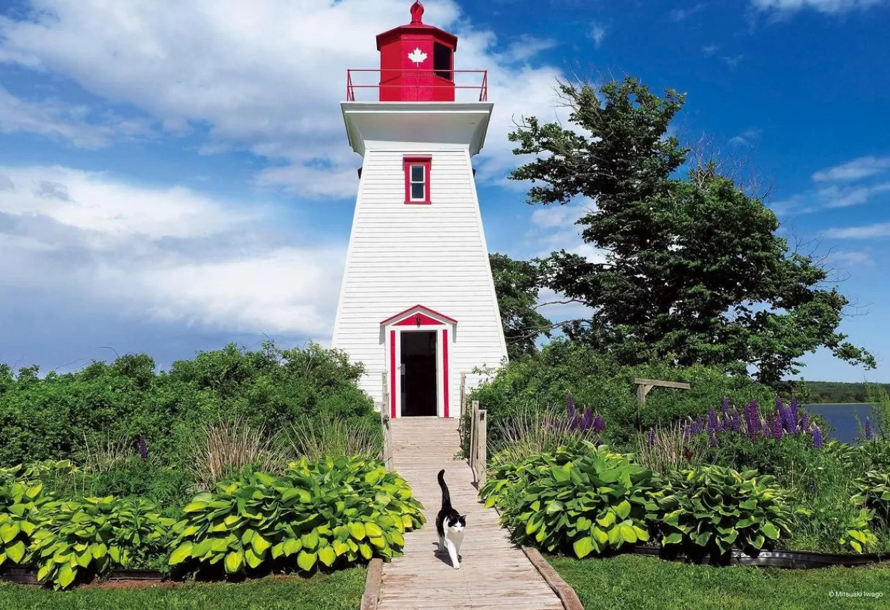 Epoch Jigsaw Puzzle 26-303 Mitsuaki Iwago's Cat Puzzle Small Lighthouse (300 Pieces)