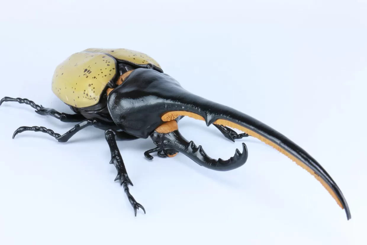 Discount Fujimi Research Series Hercules Beetle Special Edition W/Commentary Ver. Plastic Model
