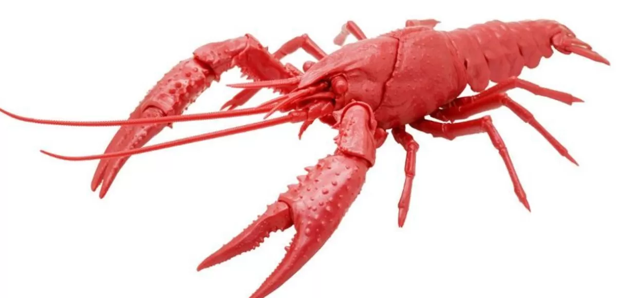 Shop Fujimi Research Series Procambarus Clarkii / Louisiana Crawfish Special Version (Metallic Red) Plastic Model