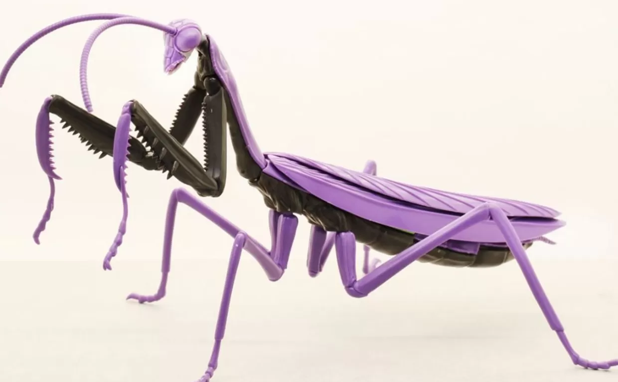Store Fujimi Research Series Tenodera Aridifolia (Japanese Giant Mantis) Evangelion 01 Ver. Plastic Model