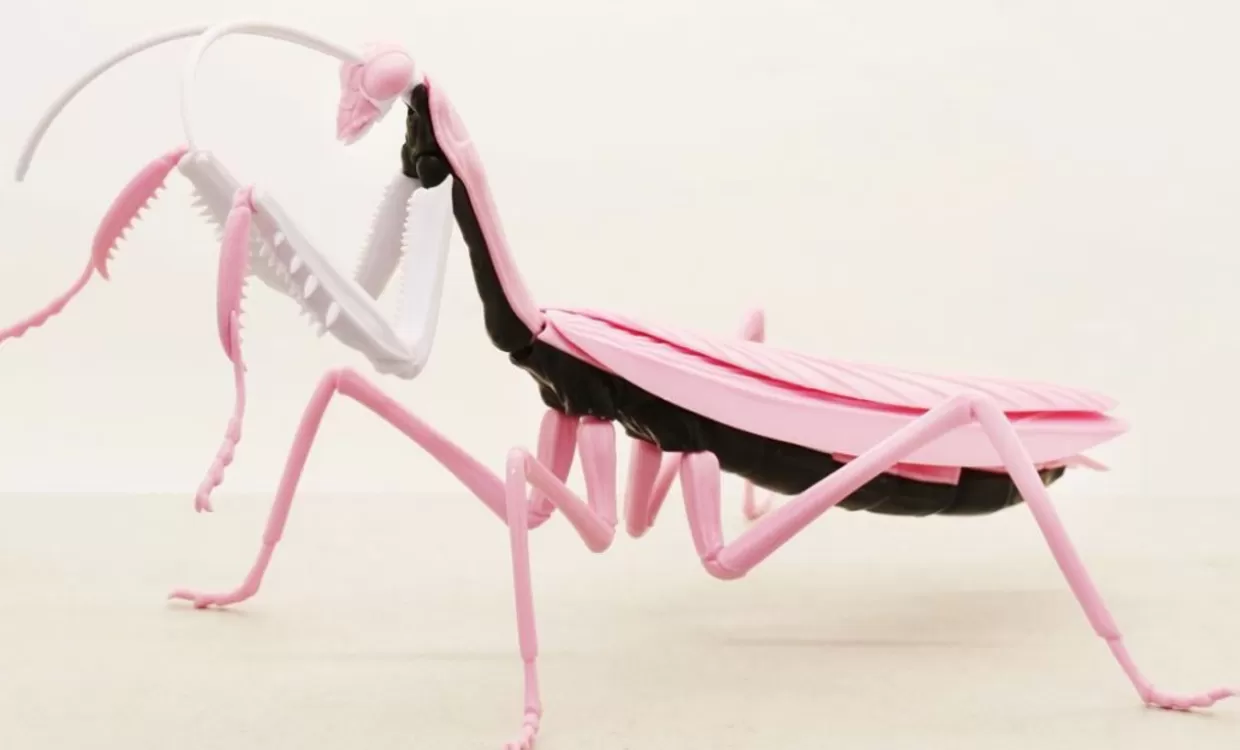 Discount Fujimi Research Series Tenodera Aridifolia (Japanese Giant Mantis) Evangelion 08 Ver. Plastic Model