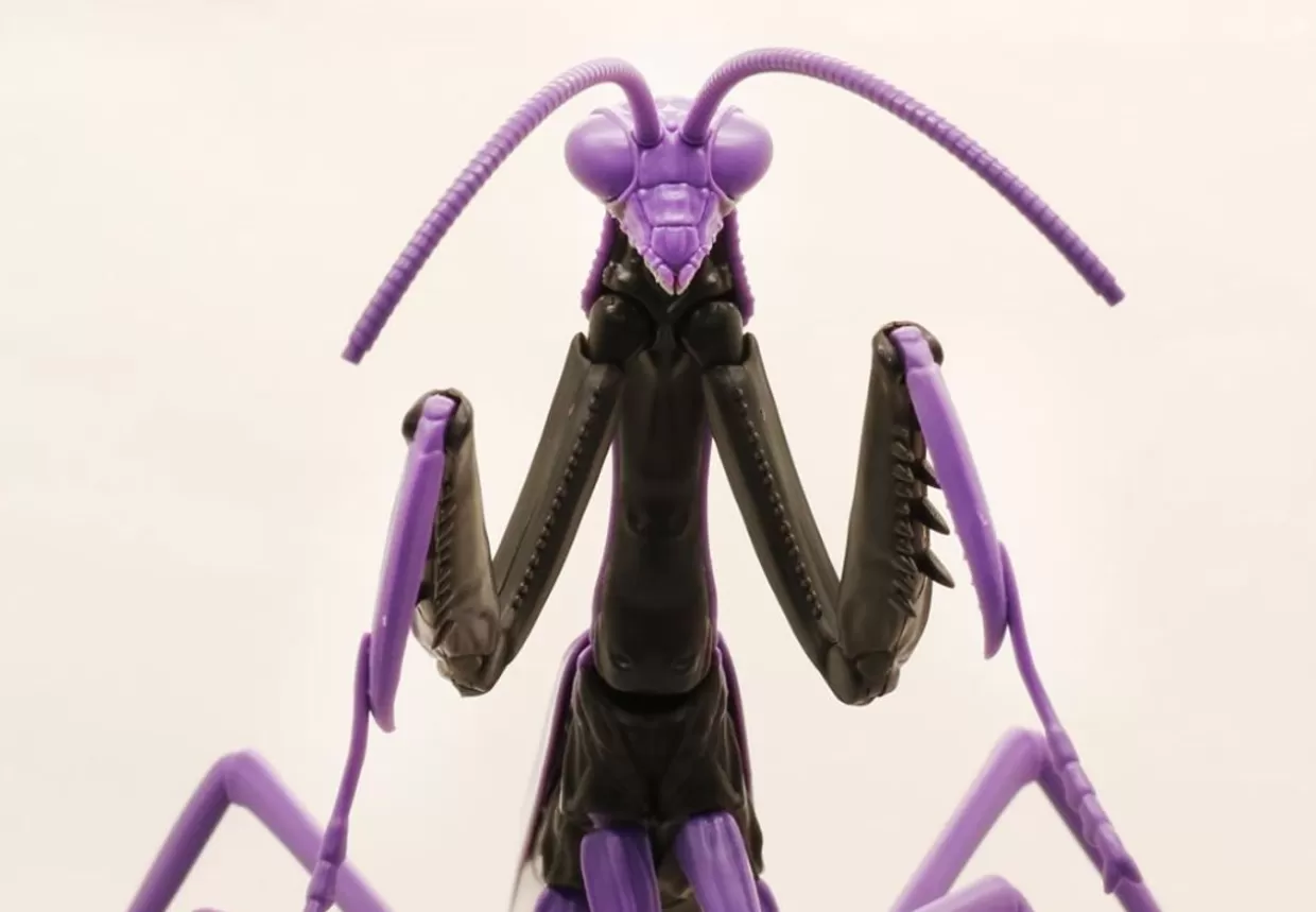 Store Fujimi Research Series Tenodera Aridifolia (Japanese Giant Mantis) Evangelion 01 Ver. Plastic Model