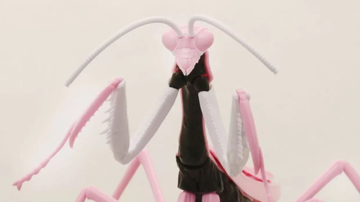 Discount Fujimi Research Series Tenodera Aridifolia (Japanese Giant Mantis) Evangelion 08 Ver. Plastic Model
