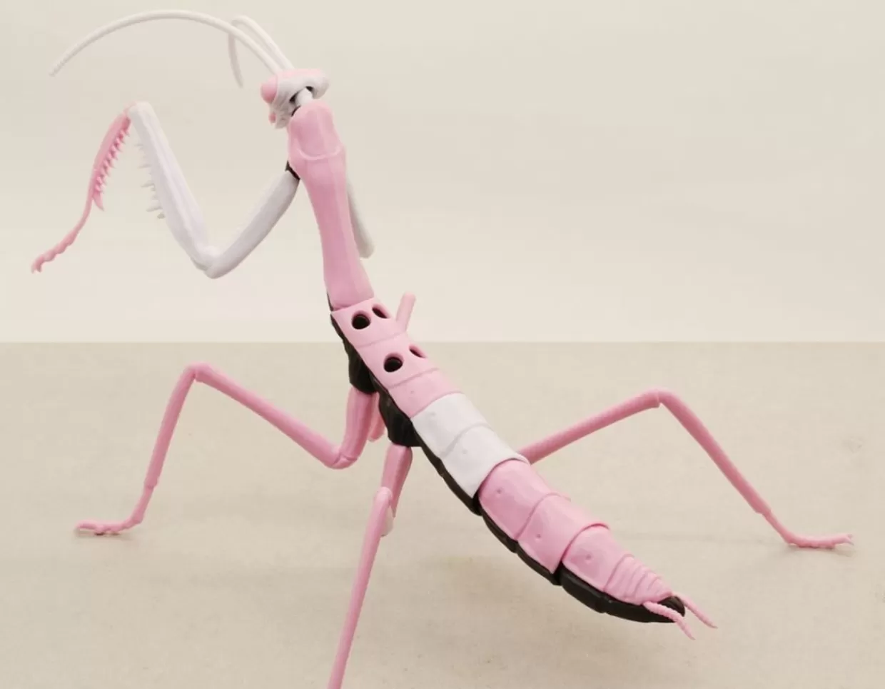Discount Fujimi Research Series Tenodera Aridifolia (Japanese Giant Mantis) Evangelion 08 Ver. Plastic Model