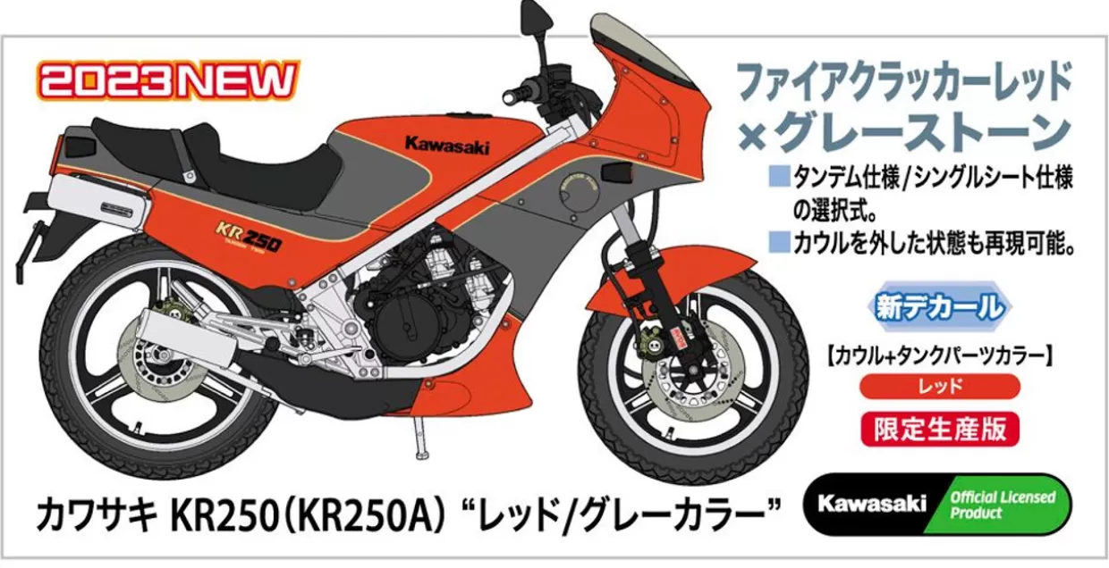 Clearance Hasegawa 1/12 Kawasaki Kr250 (Kr250A) Red/Gray Color Plastic Model
