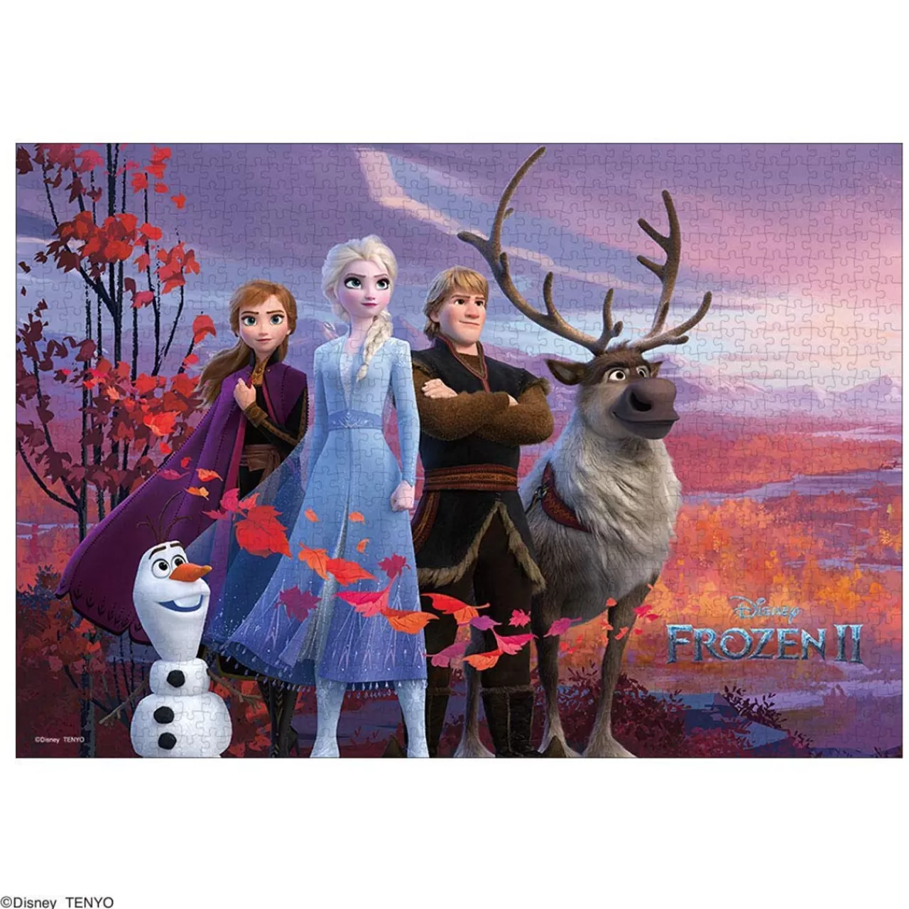 Tenyo Japan Jigsaw Puzzle D1000-056 Disney Frozen 2 Anna Secret Story (1000 Pieces)