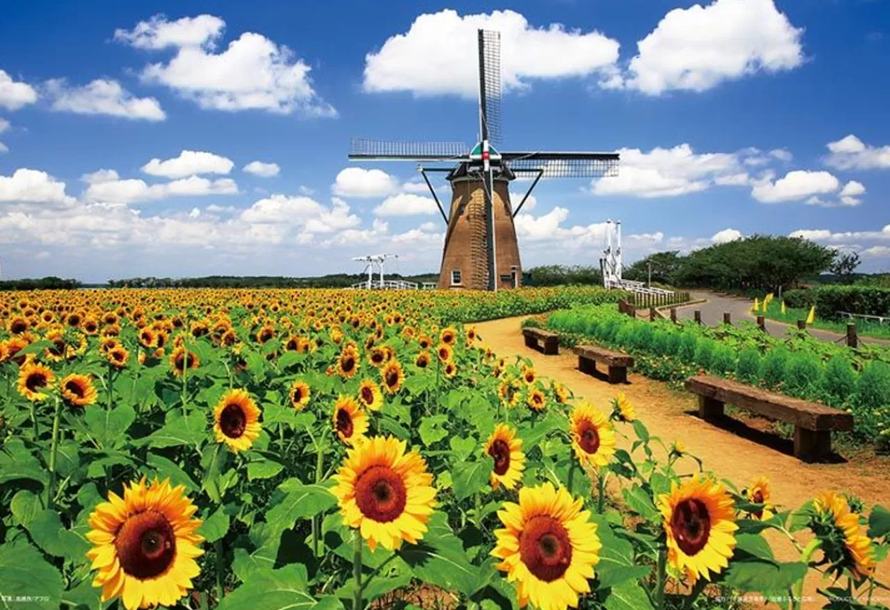 Yanoman 01-2082 Jigsaw Puzzle Dutch Windmill And Sunflowers Chiba Japan (108 L-Pieces)