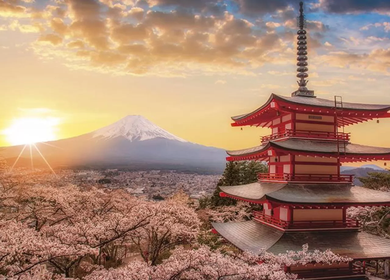 Yanoman 05-1023 Jigsaw Puzzle Mt. Fuji And Sakura In Yamanashi (500 Pieces)